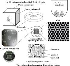 Sterilization of media and air are discussed below: Animal Tissue Culture Facilities Book Chapter Iopscience
