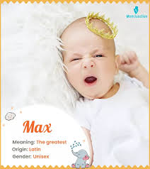Max Name Meaning, Origin, History, And Popularity
