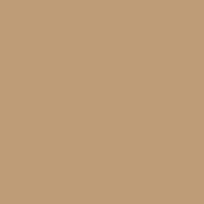 Maybe you would like to learn more about one of these? Mesa Tan Sw 7695 Timeless Color Paint Color Sherwin Williams