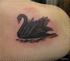 Black And White Swan Tattoo Black Swan Tattoo Swan Tattoo Black Swan Tattoo Tattoos