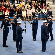 Image result for Delta 208