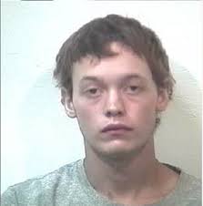 Police arrest Mattawan men suspected of stealing $3,000 worth of computer  equipment from vehicle in Lawton