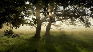 Free stock photos and videos you can use everywhere. Discover And Download Free Videos Pixabay