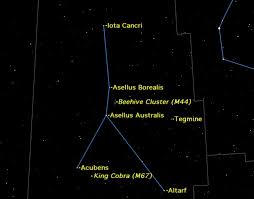 Unlike the days of the year that this sign originates in, cancer's element is cooling water. Cancer Constellation Facts About The Crab Space