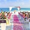 Instreamset:resort wedding packages & aspx= / in. Https Encrypted Tbn0 Gstatic Com Images Q Tbn And9gcqh7dtjrxn Lz2vw4c Vewfhx1 Dwxqez5p1fn9icdu5xgfkbtz Usqp Cau