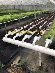 Agriculture Hydroponic Hydroponics Grow Growing Planting Greenhouse Lettuce Wish Technology Co L Aquaponics Fish Hydroponic Gardening Backyard Farming