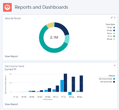 Sage Financials Reporting Explained Salesforce Reports