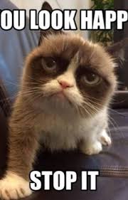 Funny cat memes and dog memes are common in pets, and people love to have them around. G R U M P Y C A T M E M E S C L E A N Zonealarm Results