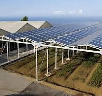 Best Solar ground mount structure Supplier,Solar ground ...