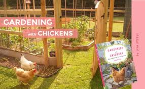 How can we protect our pets? Gardening With Chickens Fresh Eggs Daily