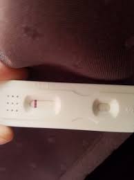 How does a pregnancy test work? U Check Pregnancy Tests Babycenter