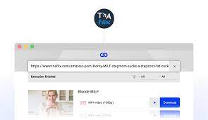 Tnaflix Downloader