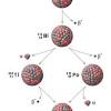 Everyone assumes that dates that follow the word radiocarbon are accurate, precise and sure. 1