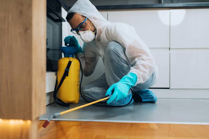 Commercial Pest Inspection
