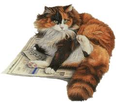 CHATS GIFS ANIMES - Page 7