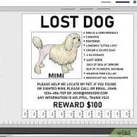 lost dog signs from www.wikihow.com