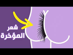 لماذا يوجد شعر على مؤخرتك Youtube