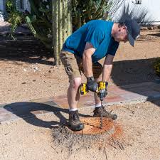 While there is more than one stump removal process , the following guide shows you the easiest way to get it done yourself. How To Remove A Palm Tree Stump Az Diy Guy