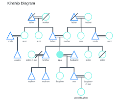 how to make a kinship diagram lucidchart blog