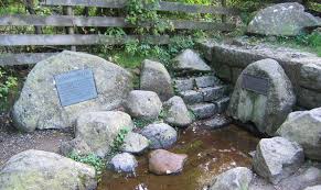 Care sunt tarile strabatute de dunare? Cum AratÄƒ Locul De Unde IzvorÄƒÈ™te DunÄƒrea Izvorul Dunarii