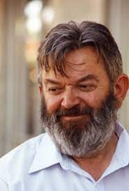 Veltman is now retired and holds a position of emeritus professor at the university of michigan. Veltman Martinus