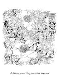 amazon co jp 世界一美しい花のぬり絵book レイラ デュリー 本 ぬり絵 花 イラスト 花のスケッチ