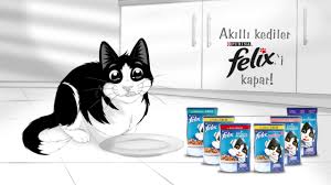 Akilli Kediler Felix I Kapar Youtube