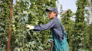 Sčítání 2021 bude v pořadí desáté a poprvé v historii se uskuteční převážně online. Brigada Jako Cesta Ke Kariere Mladi Si Praci Na Leto Vybiraji Tak Aby Ziskali Praxi Ve Vlastnim Oboru Hospodarske Noviny Ihned Cz