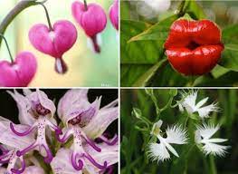 Pin On Photography