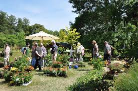 Botanischer garten marburg — der begriff botanischer garten marburg steht für: Pflanzenmarkt Marburg