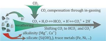 Alwyn lim & co is a small, full service firm which works closely with all our clients. Frontiers Co2 Removal With Enhanced Weathering And Ocean Alkalinity Enhancement Potential Risks And Co Benefits For Marine Pelagic Ecosystems Climate
