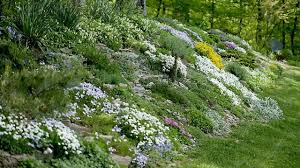 Landscaping Ideas For Sloped Backyard Garden Design Ideas On A Slope Youtube A sloping backyard poses a few. landscaping ideas for sloped backyard