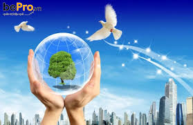 Phát triển bền vững là gì và những nguyên tắc cơ bản