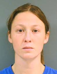 Northland pair charged with stealing 2,000 trees from county land