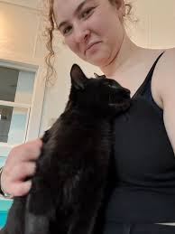 Adopt sweet kitten Griffin from Kitten Alliance in Asheville