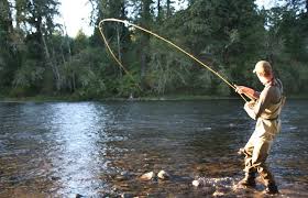 Check spelling or type a new query. Ini Tips Dan Trik Memancing Ikan Di Sungai Ayo Berangkat Mancing