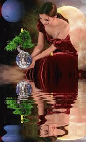 what s brewing in the psychedelic teapot fantasy realms beautiful gif animation animated gif