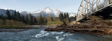 The washington department of licensing has approved the following online courses for home inspector continuing education (online & free for members). Marysville Wa Pest Control Western Exterminator