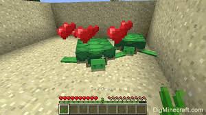 They are the third eggs added overall. How To Breed Turtles In Minecraft