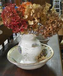 Maybe you would like to learn more about one of these? Drying Hydrangeas With Silica Gel Plant Addicts