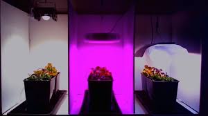 There are a few led grow lights planned clearly for 4x4 grow tents. The Best Full Spectrum Led Grow Lights Reviews 2021