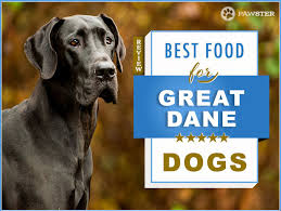 8 Best Great Dane Dog Foods For An Adult And Puppy Great Dane