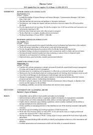 Infrastructure consultant resume samples velvet jobs. Associate Consultant Resume Samples Velvet Jobs