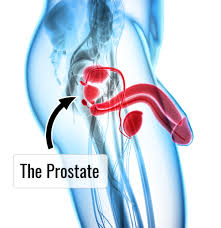 An external prostate massage is exactly. The Ultimate Guide To Prostate Milking Prostate Massage Techniques Preparation And Tools Sex Toy Collective