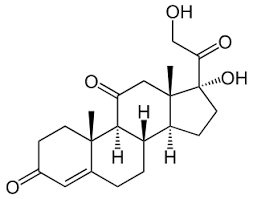 Cortison Wikipedia