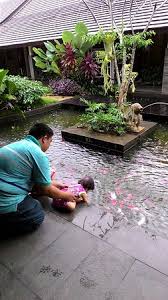 Desain kolam ikan depan rumah yang pertama didesain sederhana dengan model persegi panjang dengan ukuran 2x1 meter. Kolam Koi Depan Kamar Picture Of Rumah Kito Jambi Tripadvisor