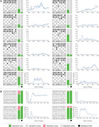 A General Reinforcement Learning Algorithm That Masters Chess Shogi And Go Through Self Play Science Algorithm Play Science Chess