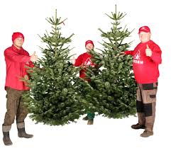 Wann kauft ihr einen weihnachtsbaum? Tannenbaum Hamburg Lieferservice Weihnachtsbaumschlagen Weihnachtsbaum Kaufen Weihnachtsbaum Hamburg