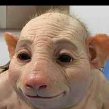 Darren Hull (@Dazhull38)