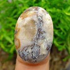 We did not find results for: Mustika Petir Gaib
